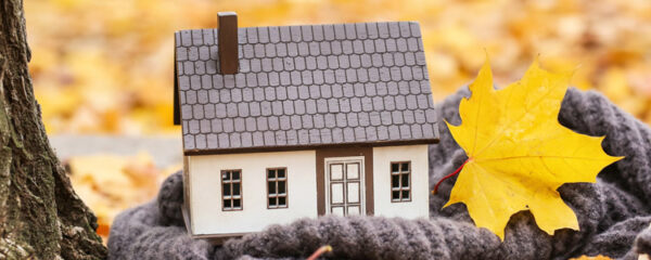 Immobilier